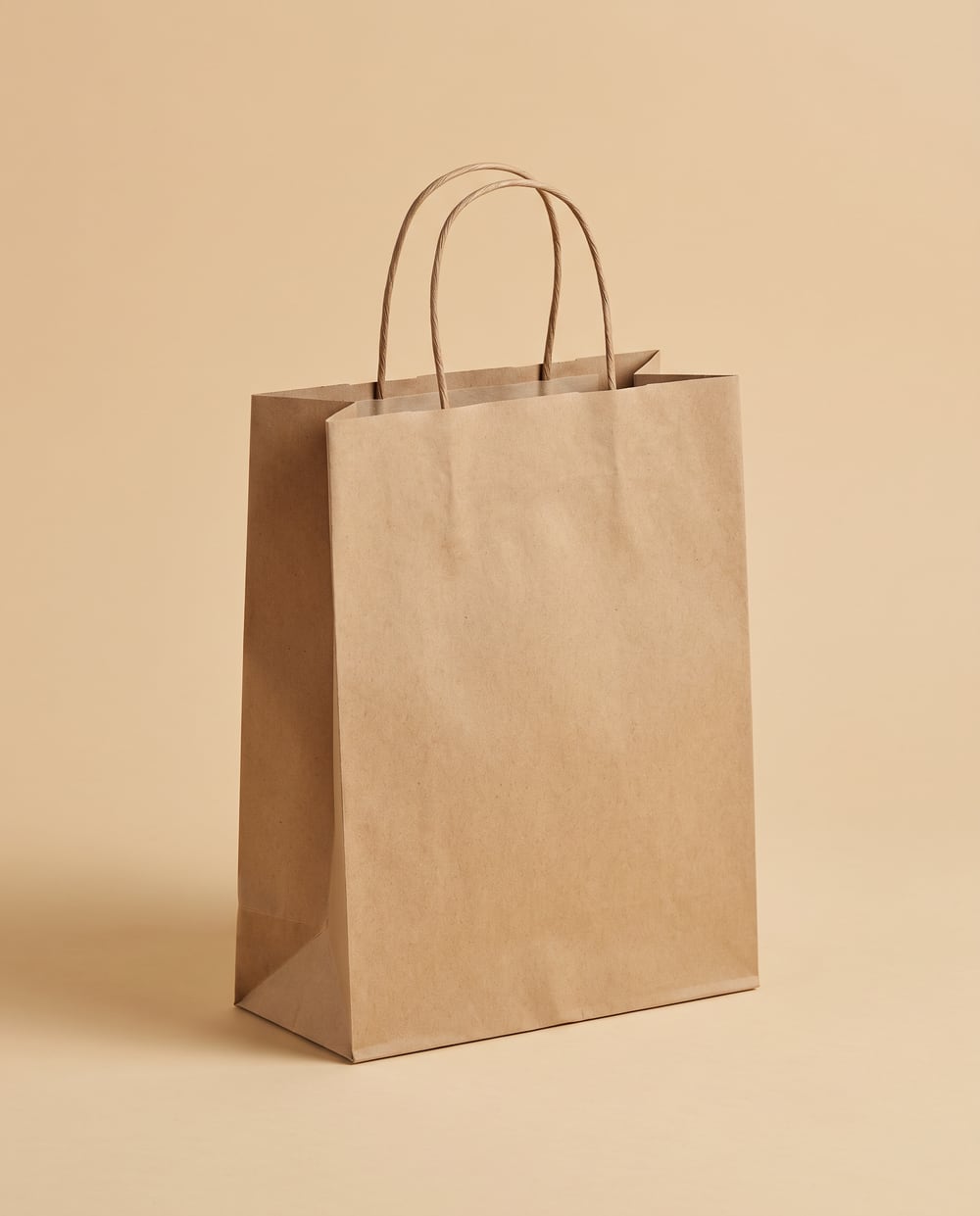 Kraft paper bag, twisted cotton rope handles, one small gold foil mark