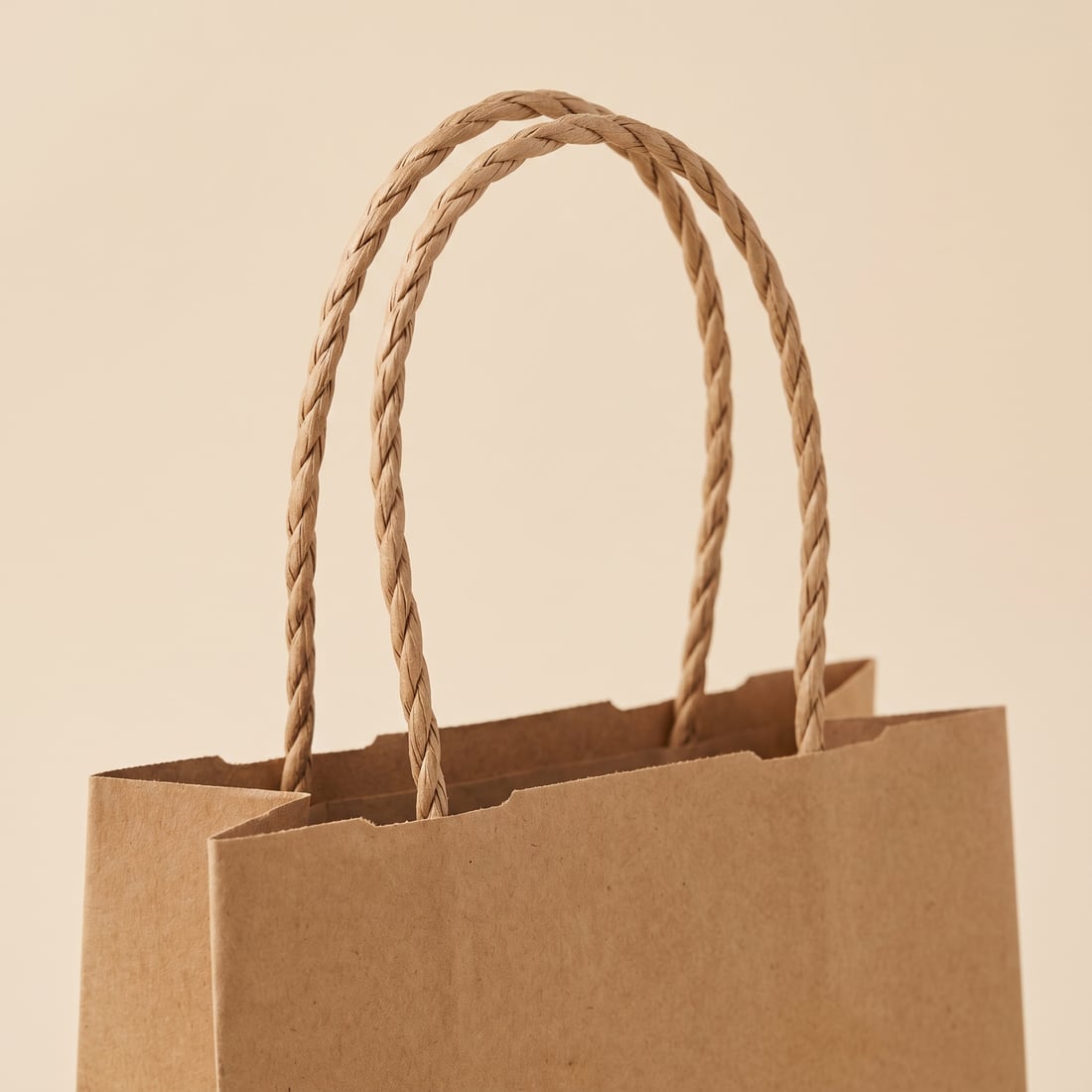 Braided paper cord on a kraft paper bag, close up