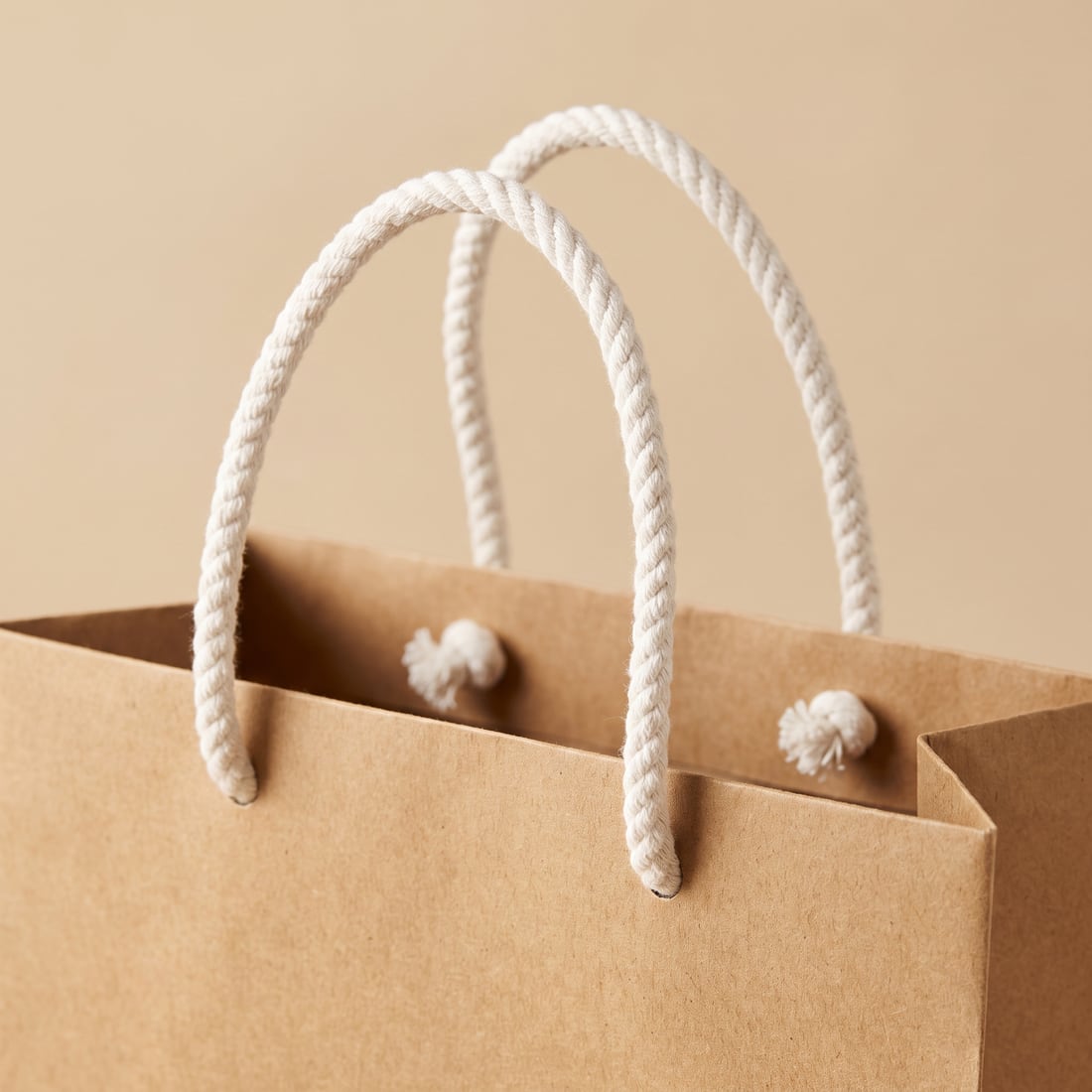 Cotton rope on a kraft paper bag, close up