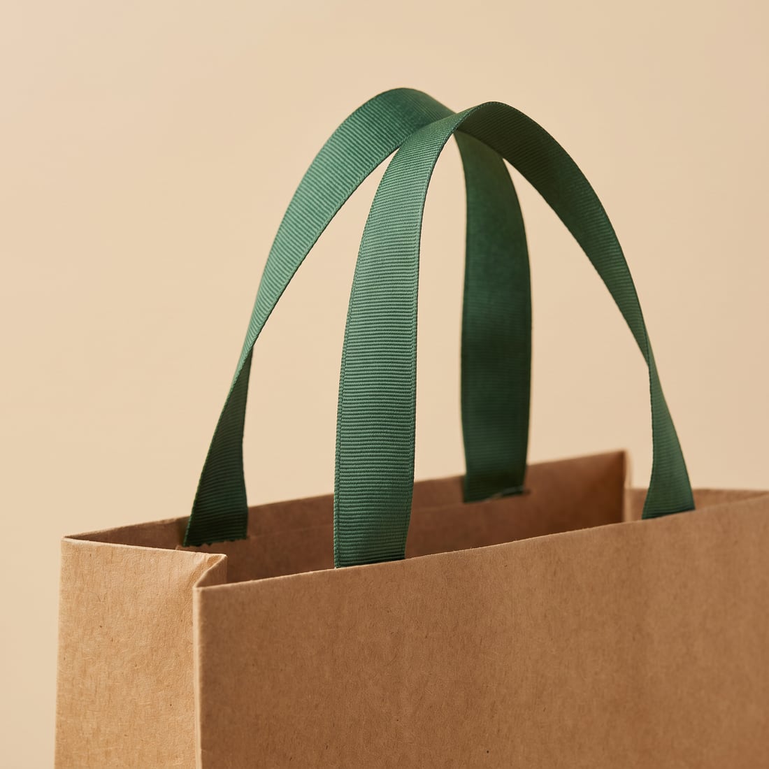 Grosgrain ribbon on a kraft paper bag, close up